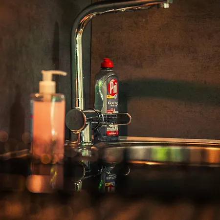 Gottwaldhaus-freiberg-apartment / A