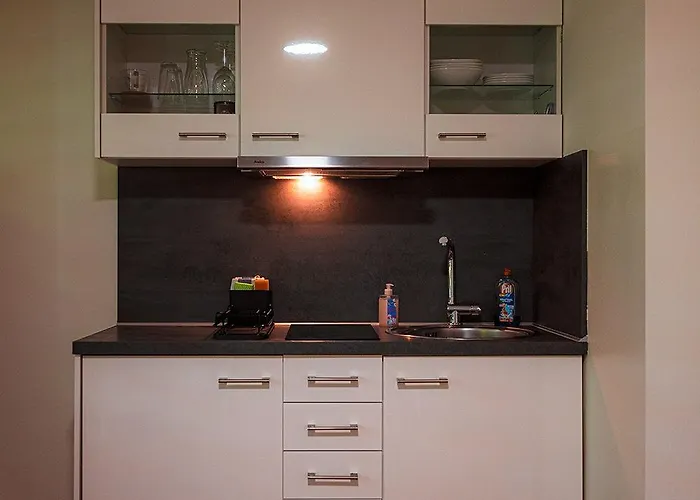 Gottwaldhaus-freiberg-apartment / A فرايبرغ